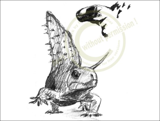 "*Naosaurus*"