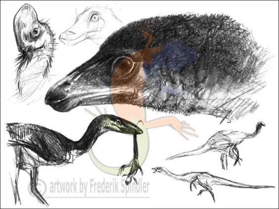 Coelurosauria