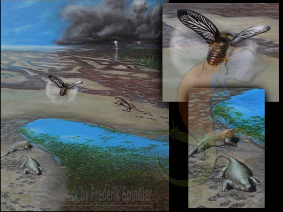 Carboniferous flood plane