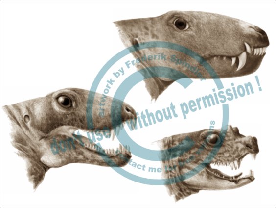 Sphenacodontoidea