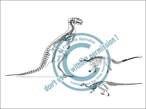 Ornithischier
