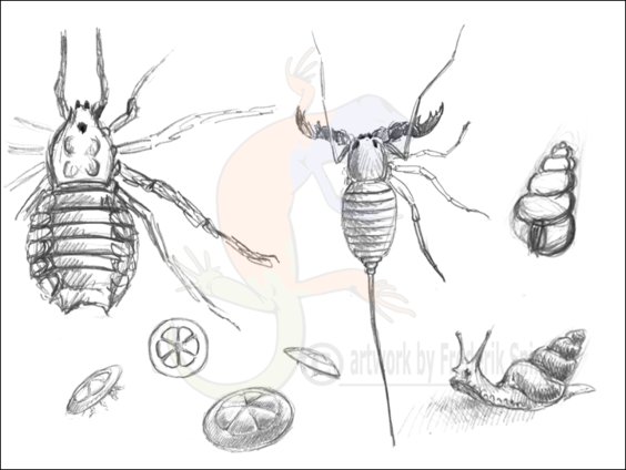 Early Permian sketches II