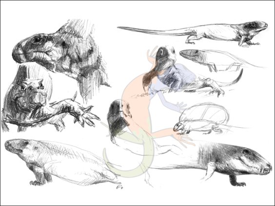 basal synapsids