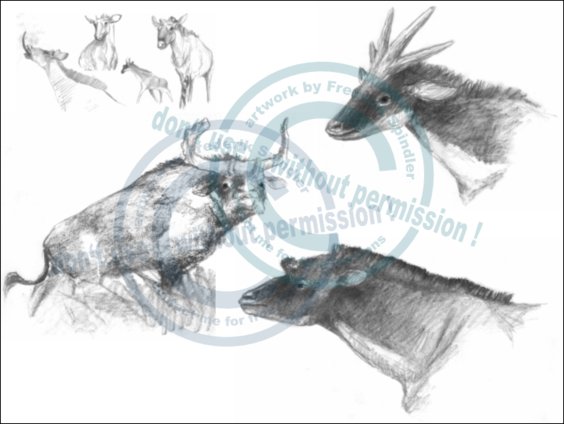 Giraffiden