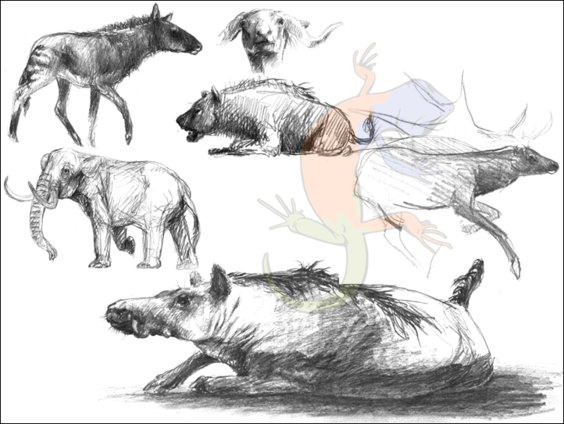 Mammals