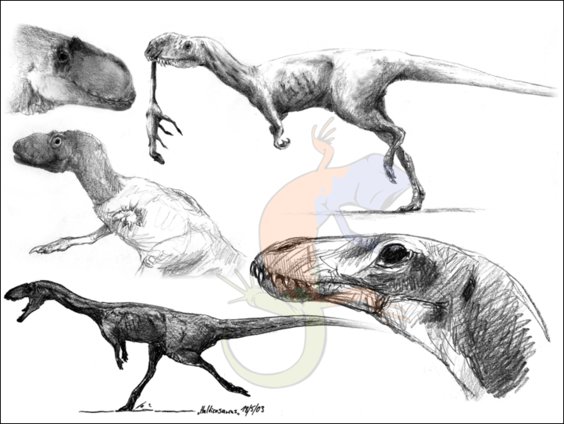 Ceratosauria