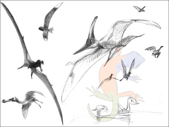 Pterosaurs