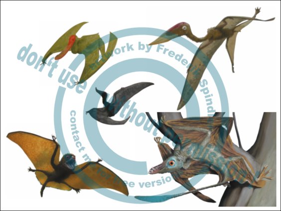 Pterosauria