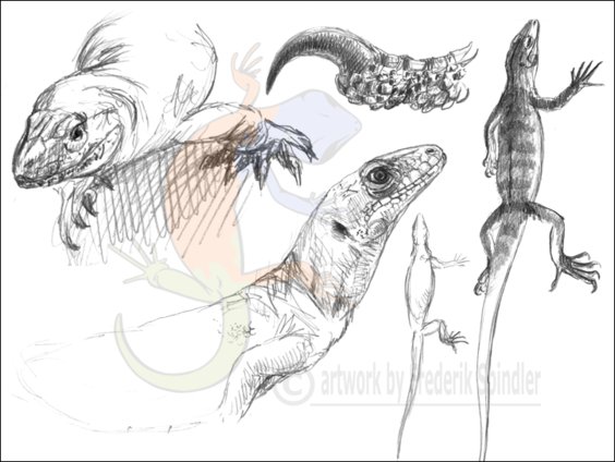 Diapsids