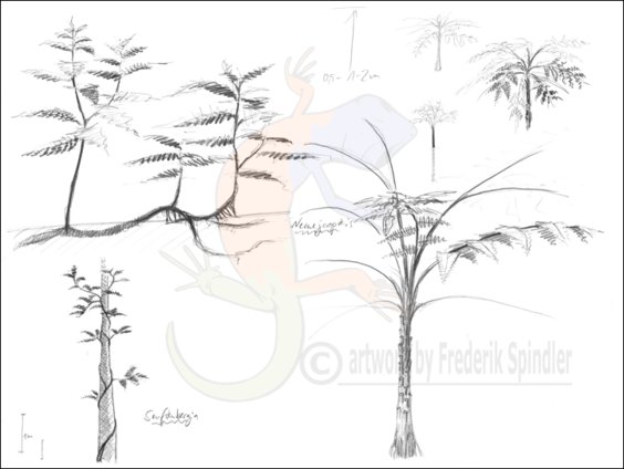 Early Permian sketches I