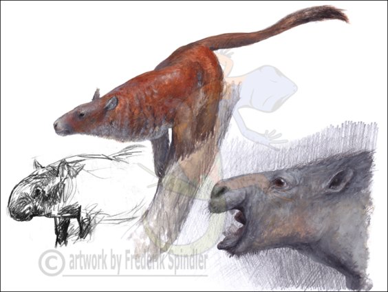 Oredonts