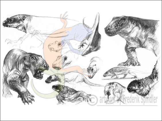 pre-therapsids