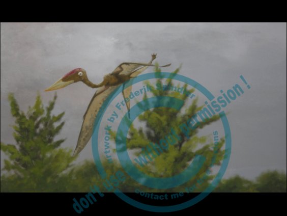 *Zhejiangopterus*