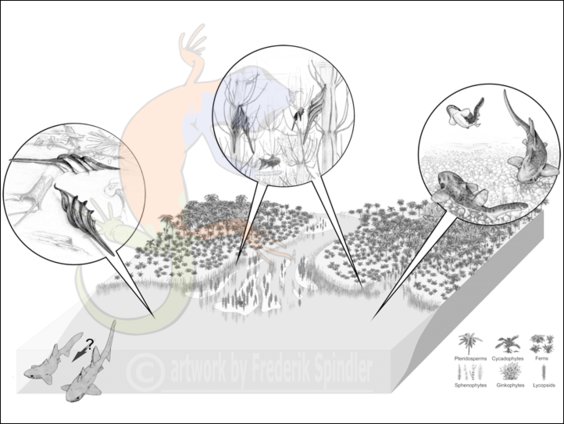Triassic shark nursery