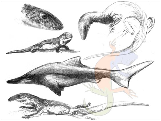 diapsid reptiles