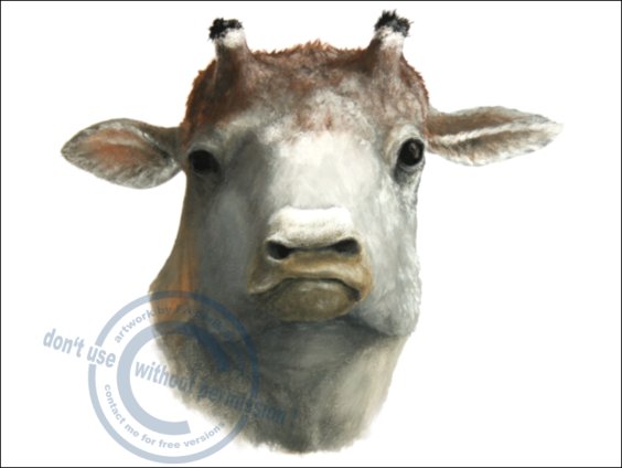 *Hydaspitherium megacephalum*