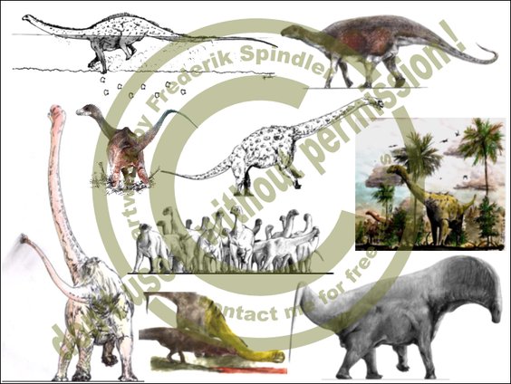 Sauropoden