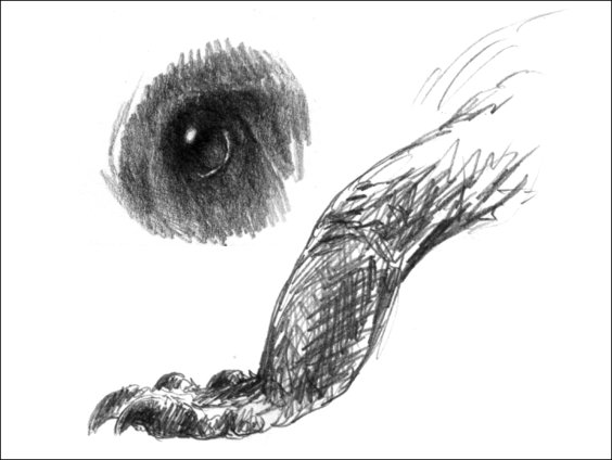 sketching parts