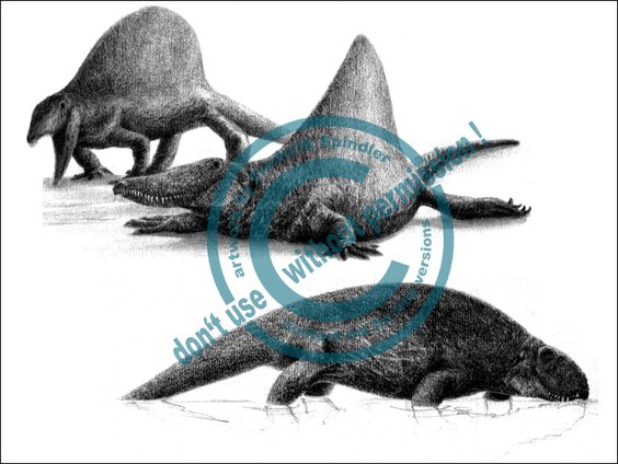 *Secodontosaurus* & *Ctenorhachis*
