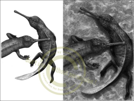 *Champsosaurus* sp.