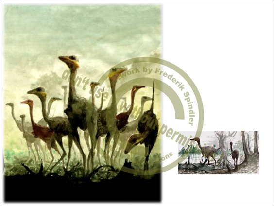 *Sinornithoides* & *Byronosaurus*