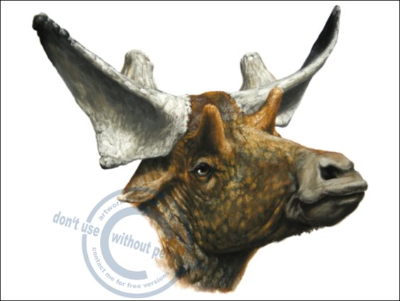 *Sivatherium giganteum*
