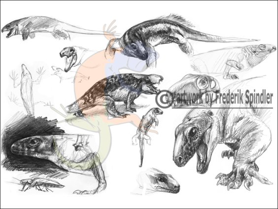 pre-therapsids