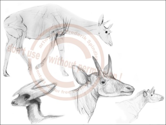 Giraffiden