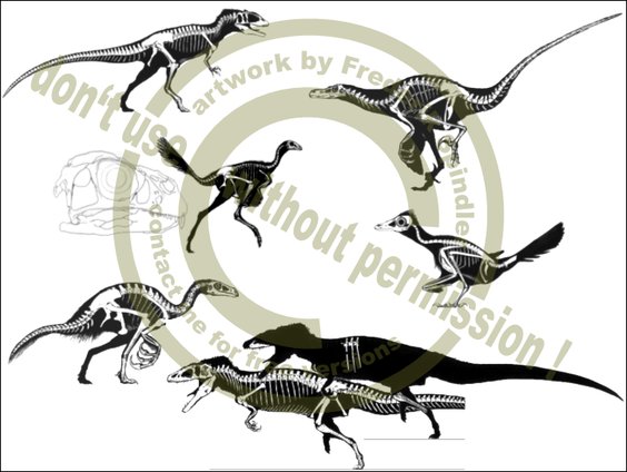 Theropoden