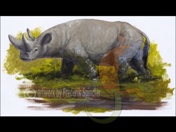 *Arsinoitherium*