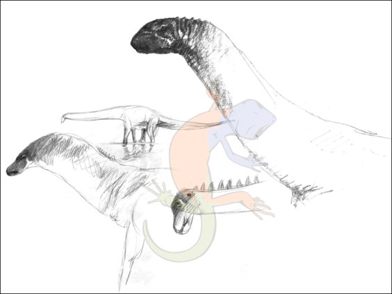Sauropoda
