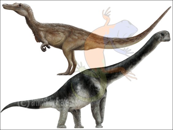 more Wealden dinosaurs...