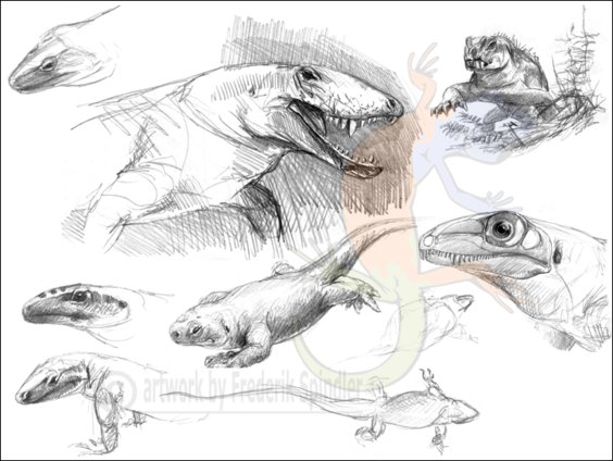 very basal synapsids