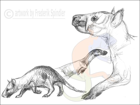Gondwanatheriid