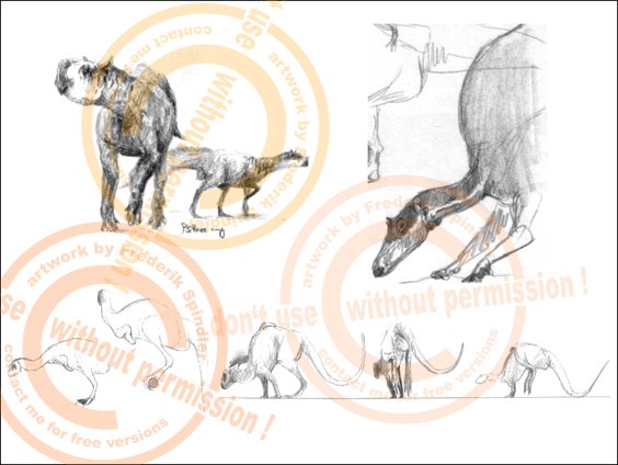 cerapode Dinosaurier