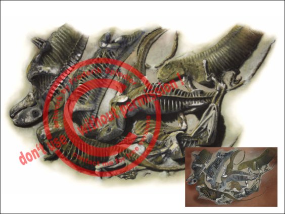 *Pantelosaurus*
