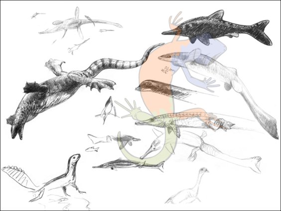 aquatic reptiles
