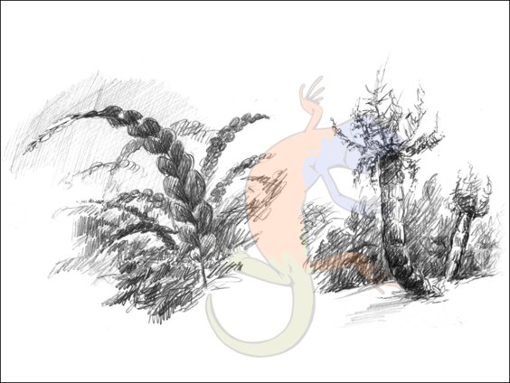 plants