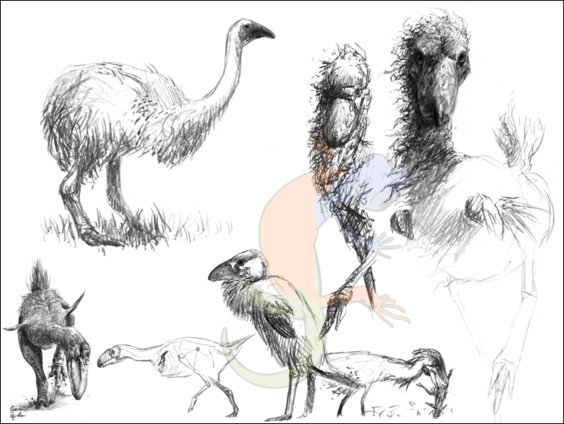 flightless birds