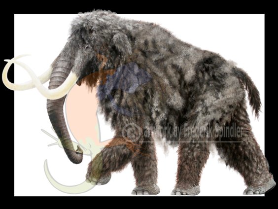 mammoth