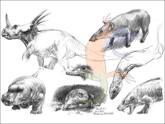 Reptiliomorpha compilation