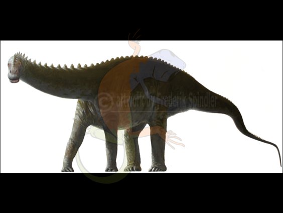 *Demandasaurus*