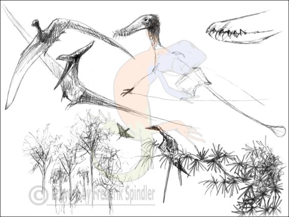 pterosaurs