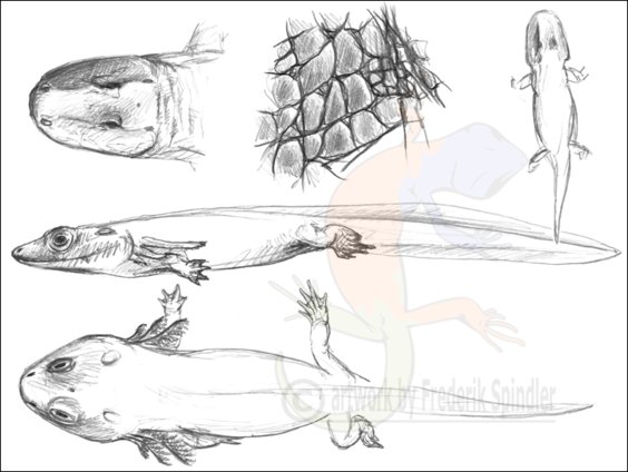 Early Permian sketches IV