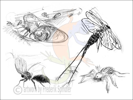 Arthropoda