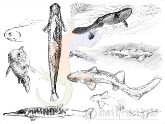Late Paleozoic limnic life