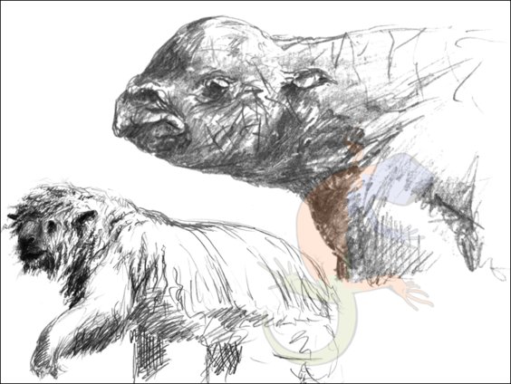 Mammals