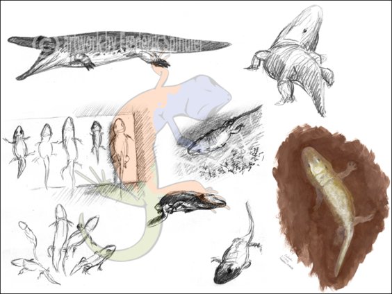 Temnospondyli