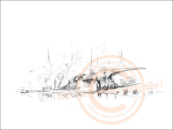 *Gracilisuchus*