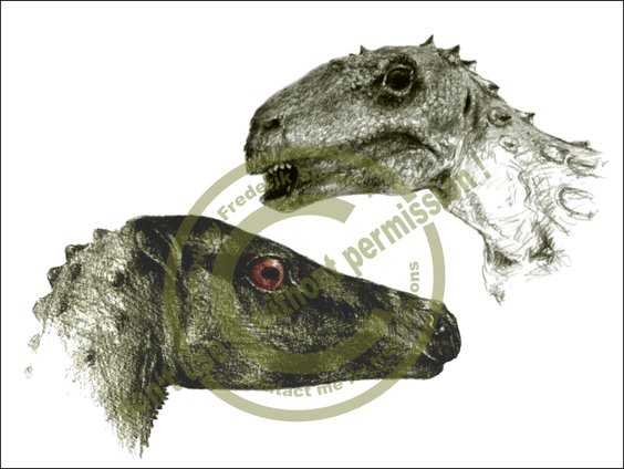 *Bugenasaurus* & *Emausaurus*
